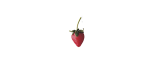 reiterLOGO